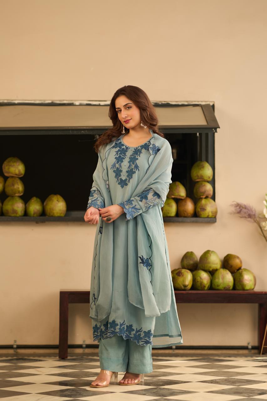 Powder Blue Serene Organza Dupatta Set