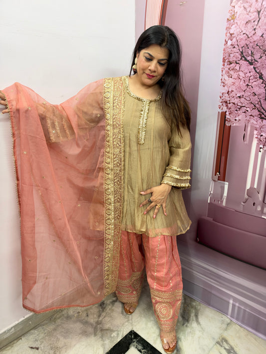 The Kaarigari Contrast Farsi Salwar Set